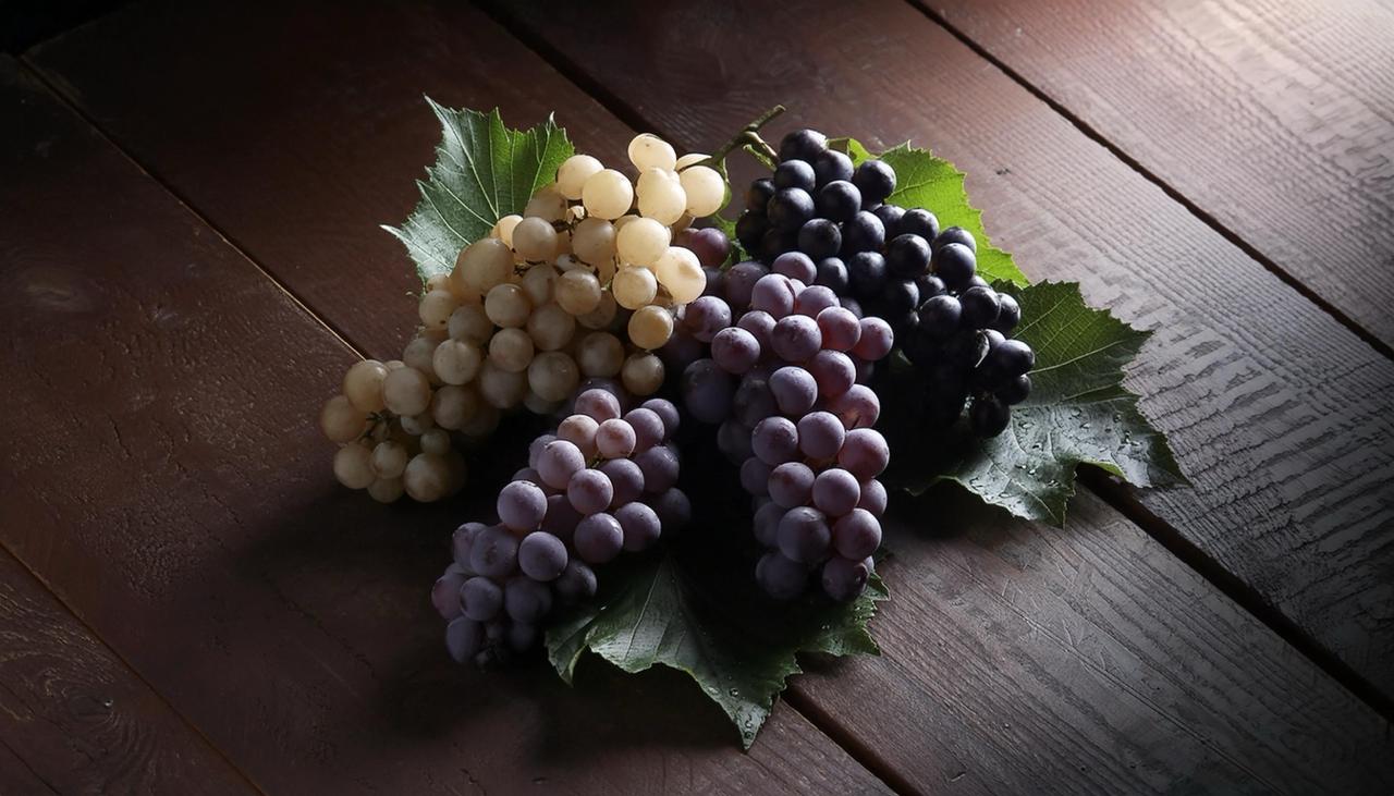 uvas